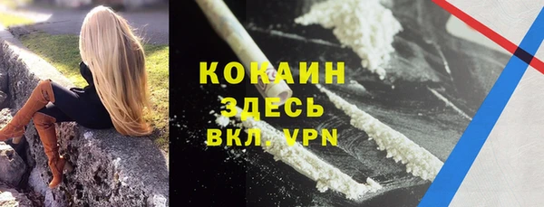тгк Алзамай