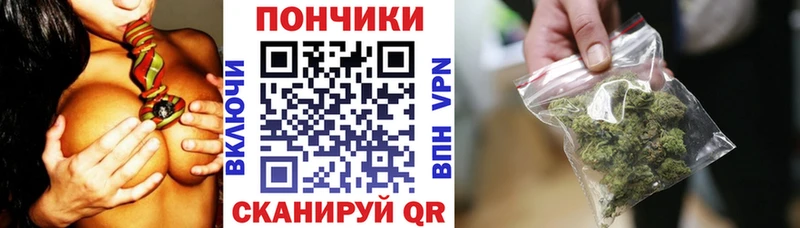 хочу наркоту  Камышлов  Бошки марихуана планчик 